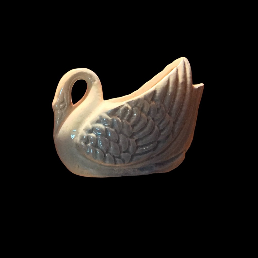 Swan 🦢